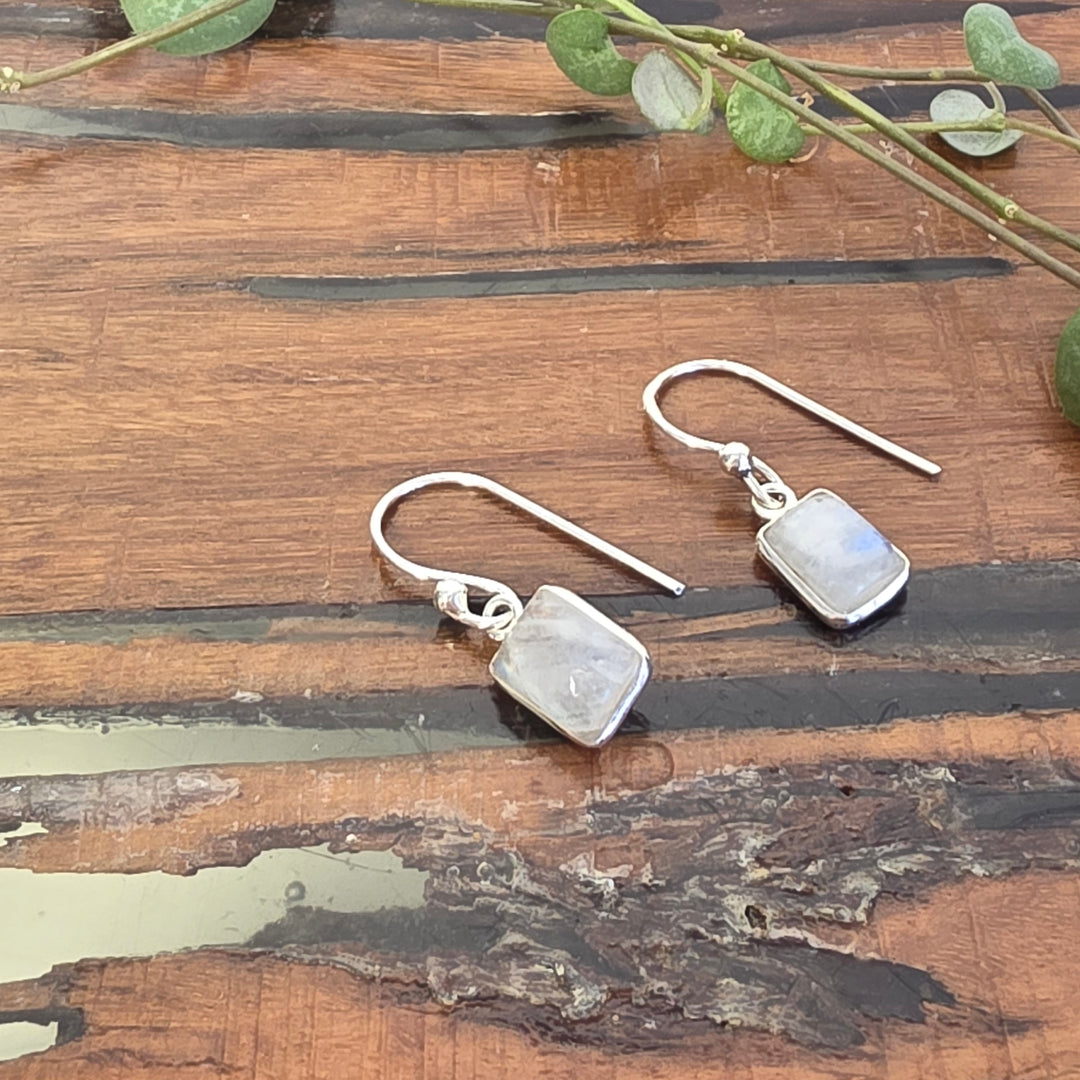 Rainbow Moonstone - Earrings