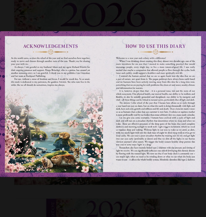 2026 Lunar and Seasonal Diary - Stacey Demarco