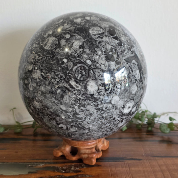 Shell Stone - Sphere