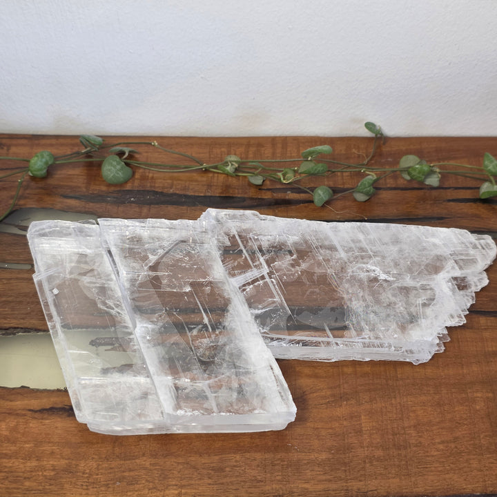 Selenite - Plate