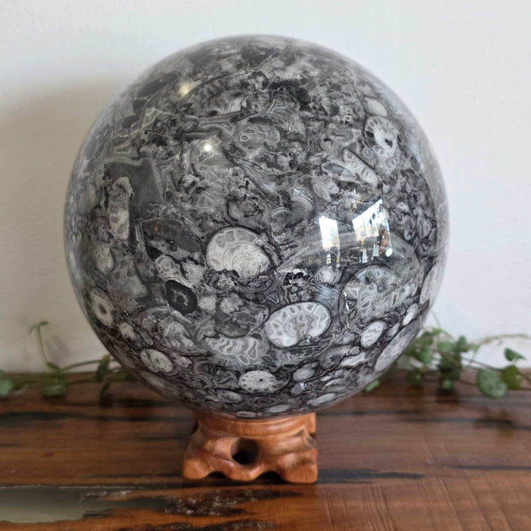 Shell Stone - Sphere