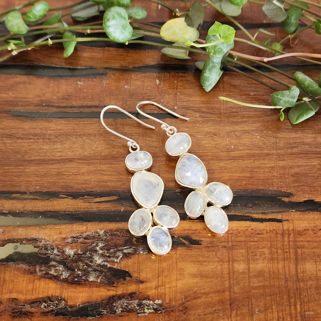 Rainbow Moonstone - Earrings
