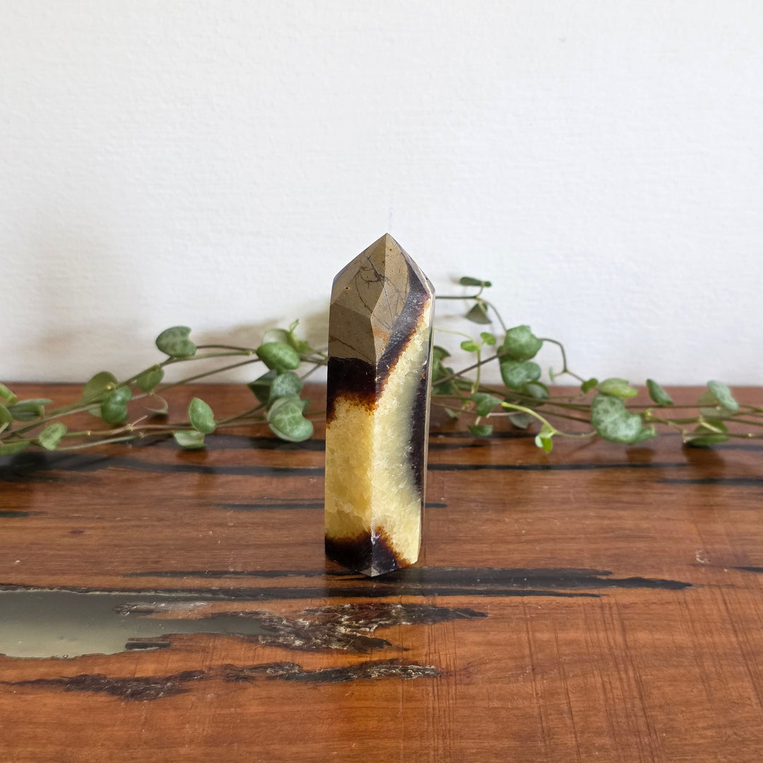 Septarian - Tower