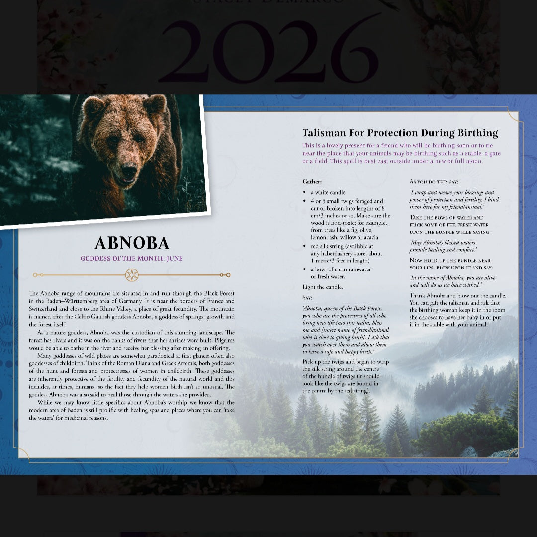 2026 Lunar and Seasonal Diary - Stacey Demarco