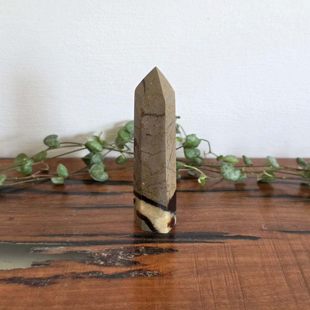 Septarian - Tower