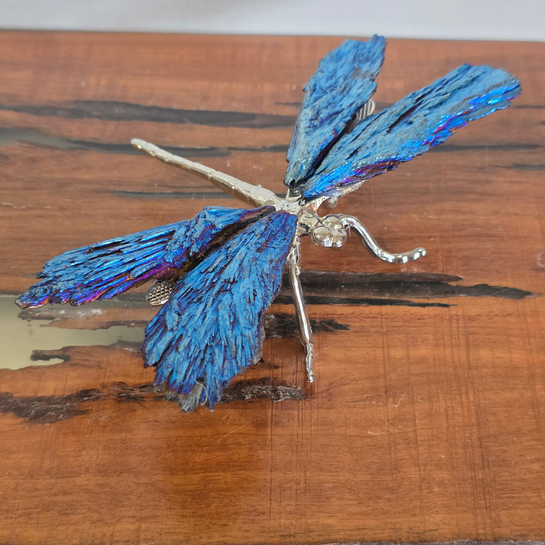 Aura Black Kyanite - Dragonfly
