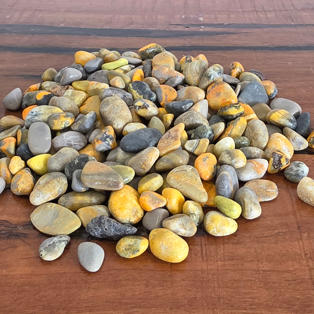 Bumble Bee Jasper - Chips - Mel'z Place