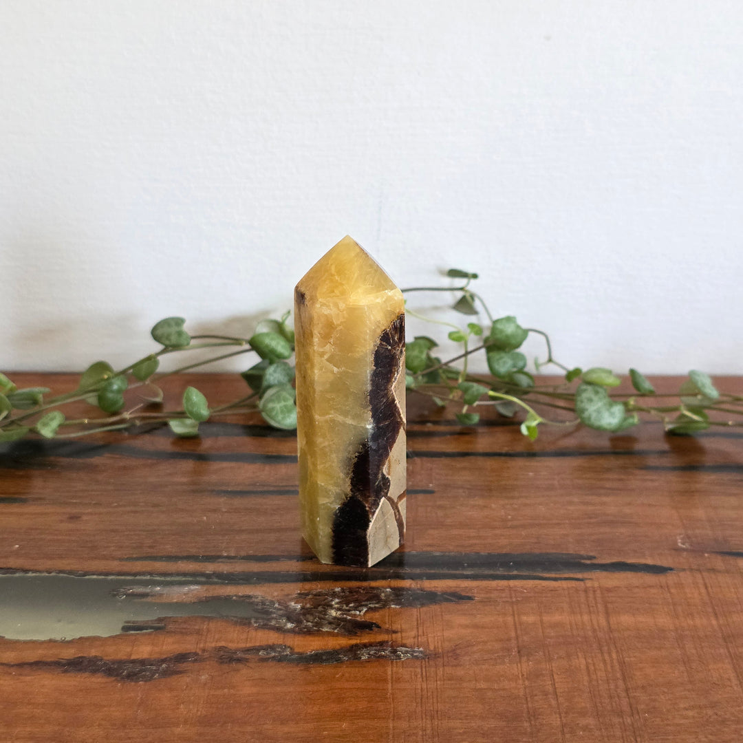 Septarian - Tower
