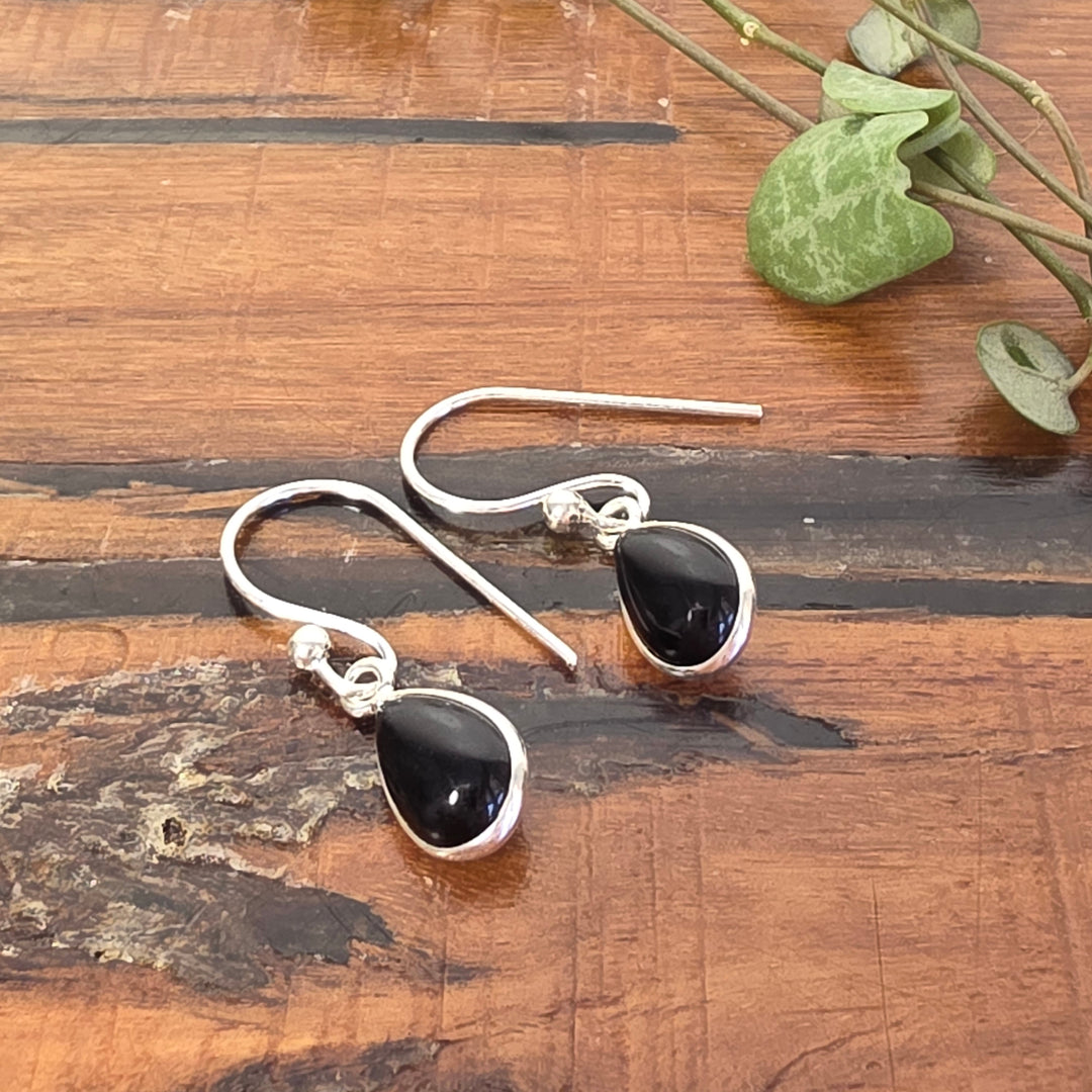 Black Onyx - Earrings