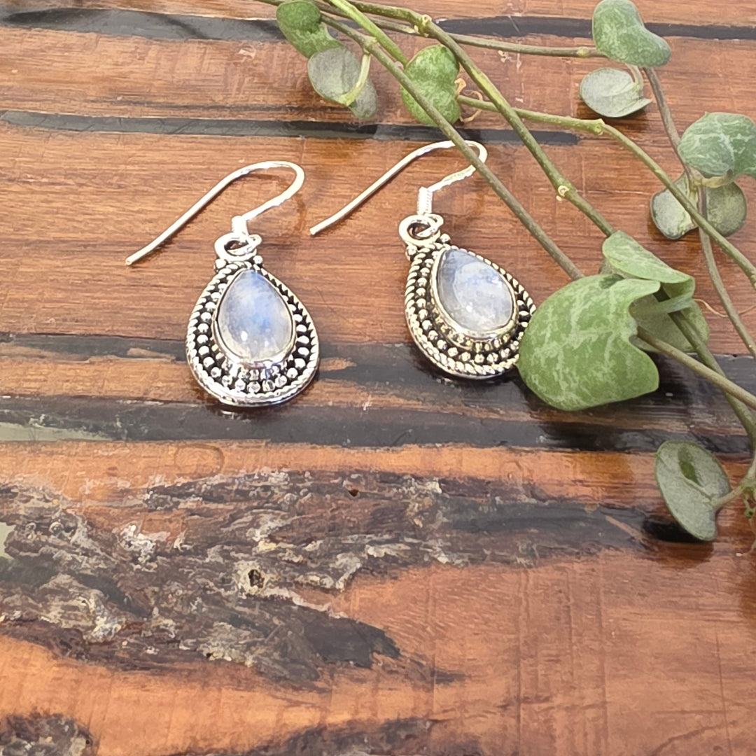 Rainbow Moonstone - Earrings