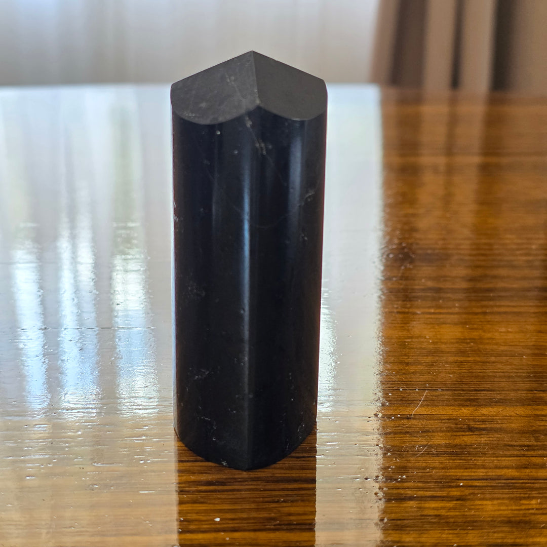Black Tourmaline - Tower - Mel'z Place