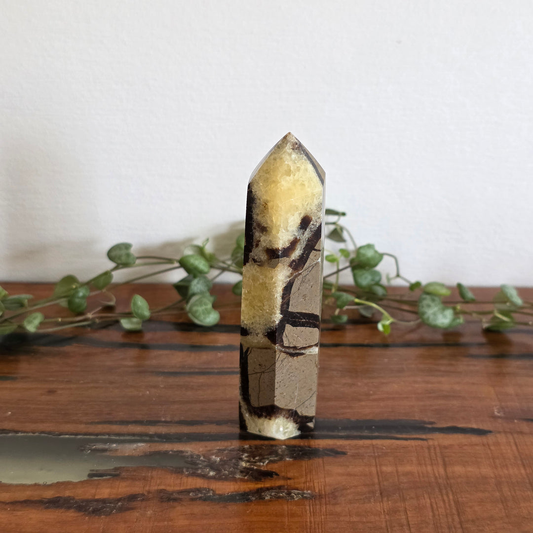Septarian - Tower