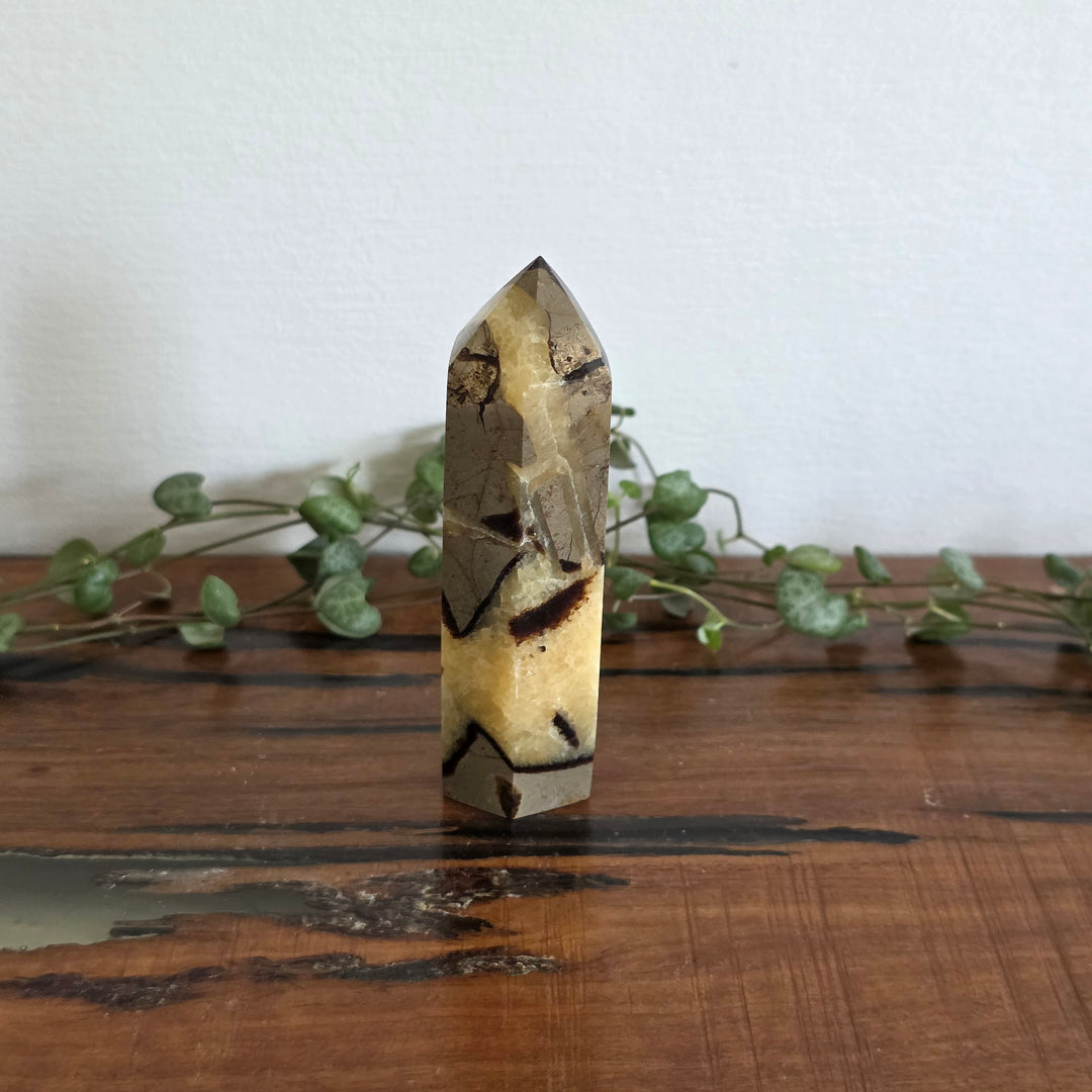 Septarian - Tower