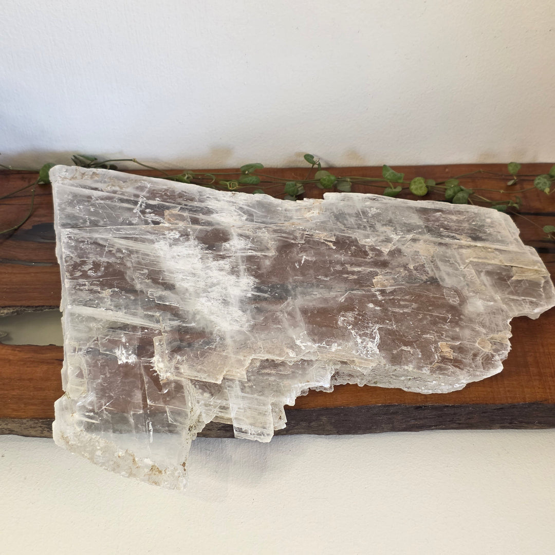 Selenite - Plate
