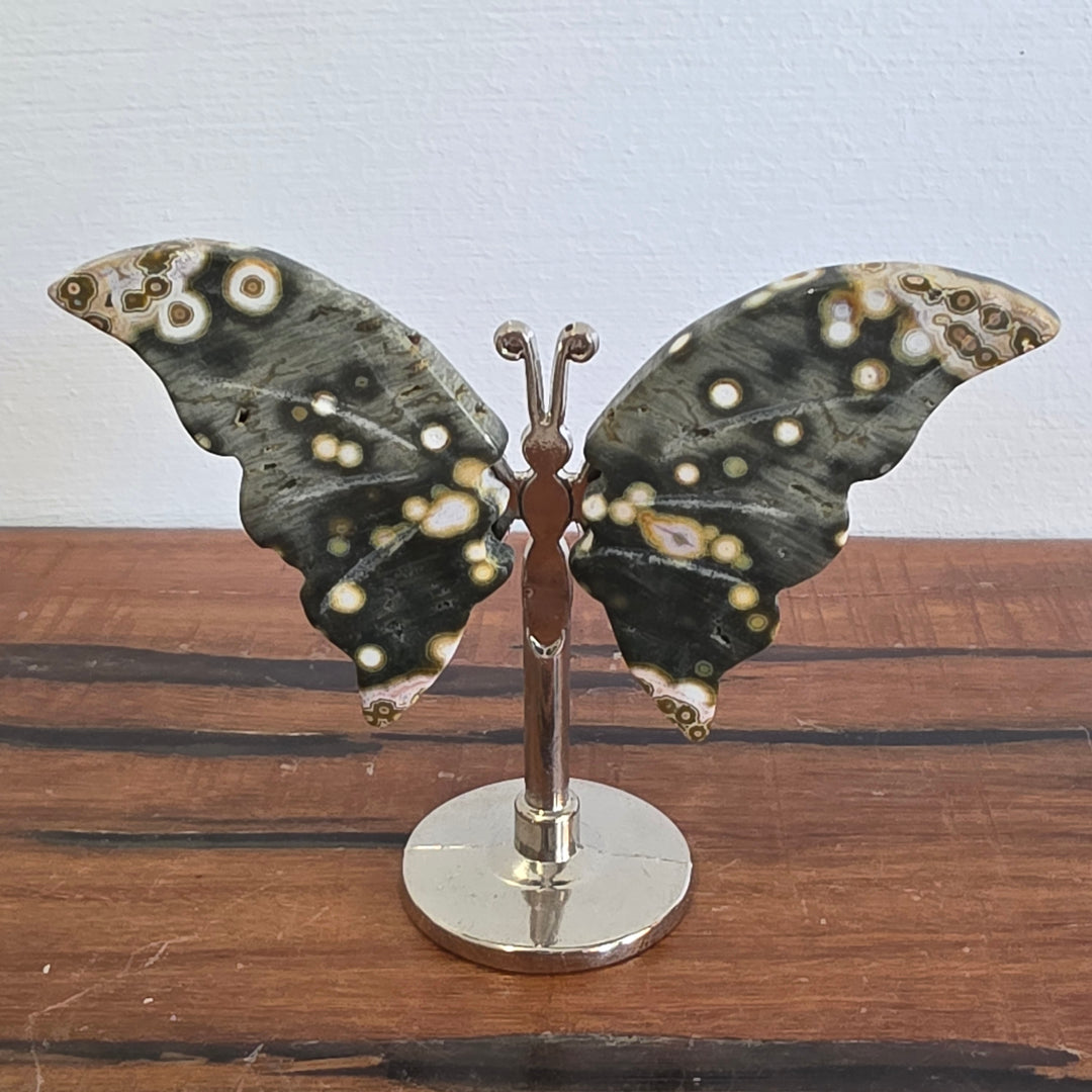 Ocean Jasper - Butterfly