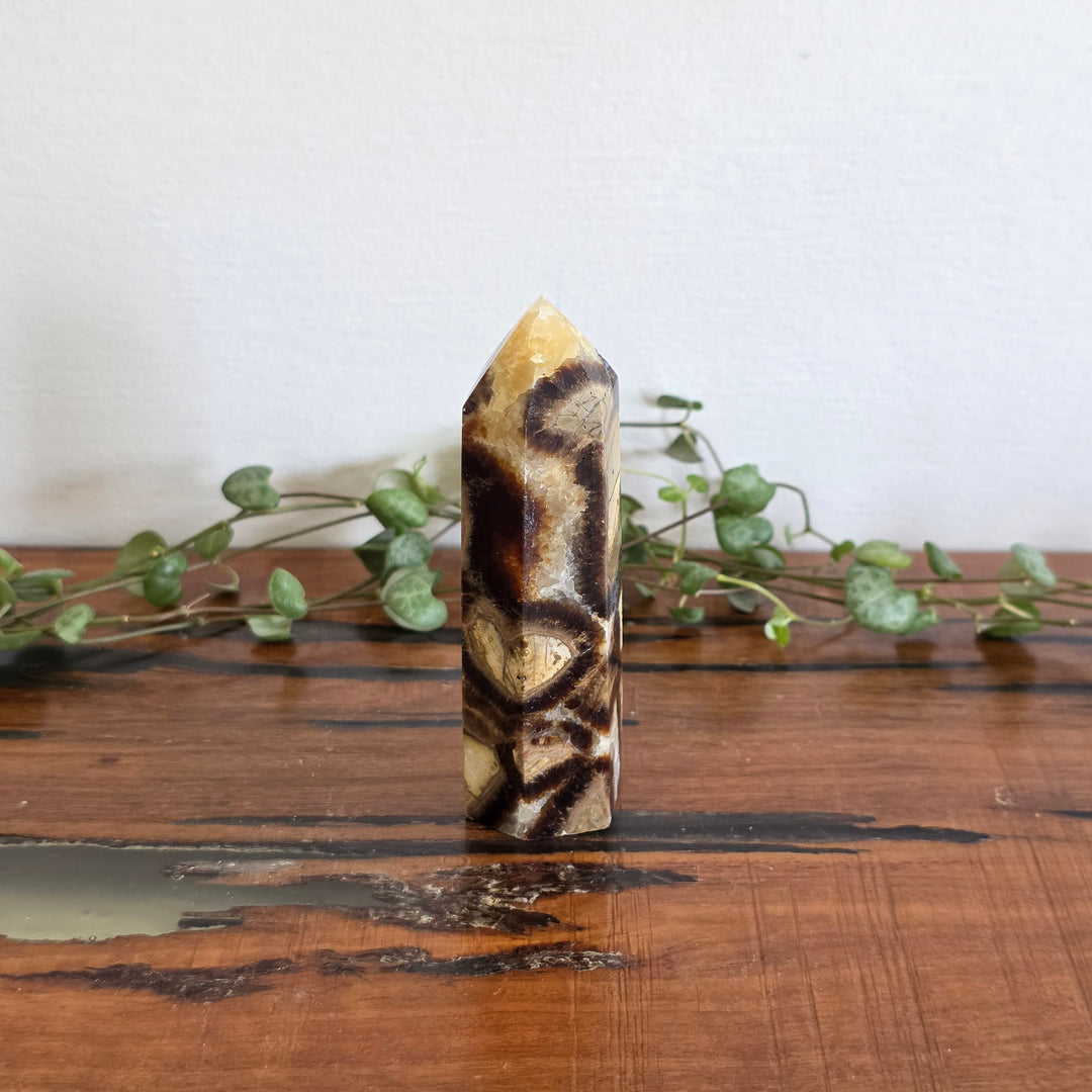Septarian - Tower