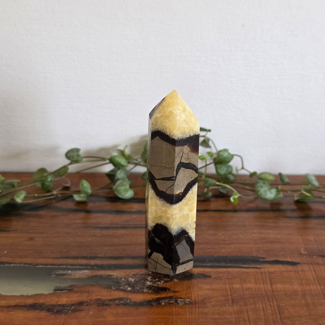 Septarian - Tower