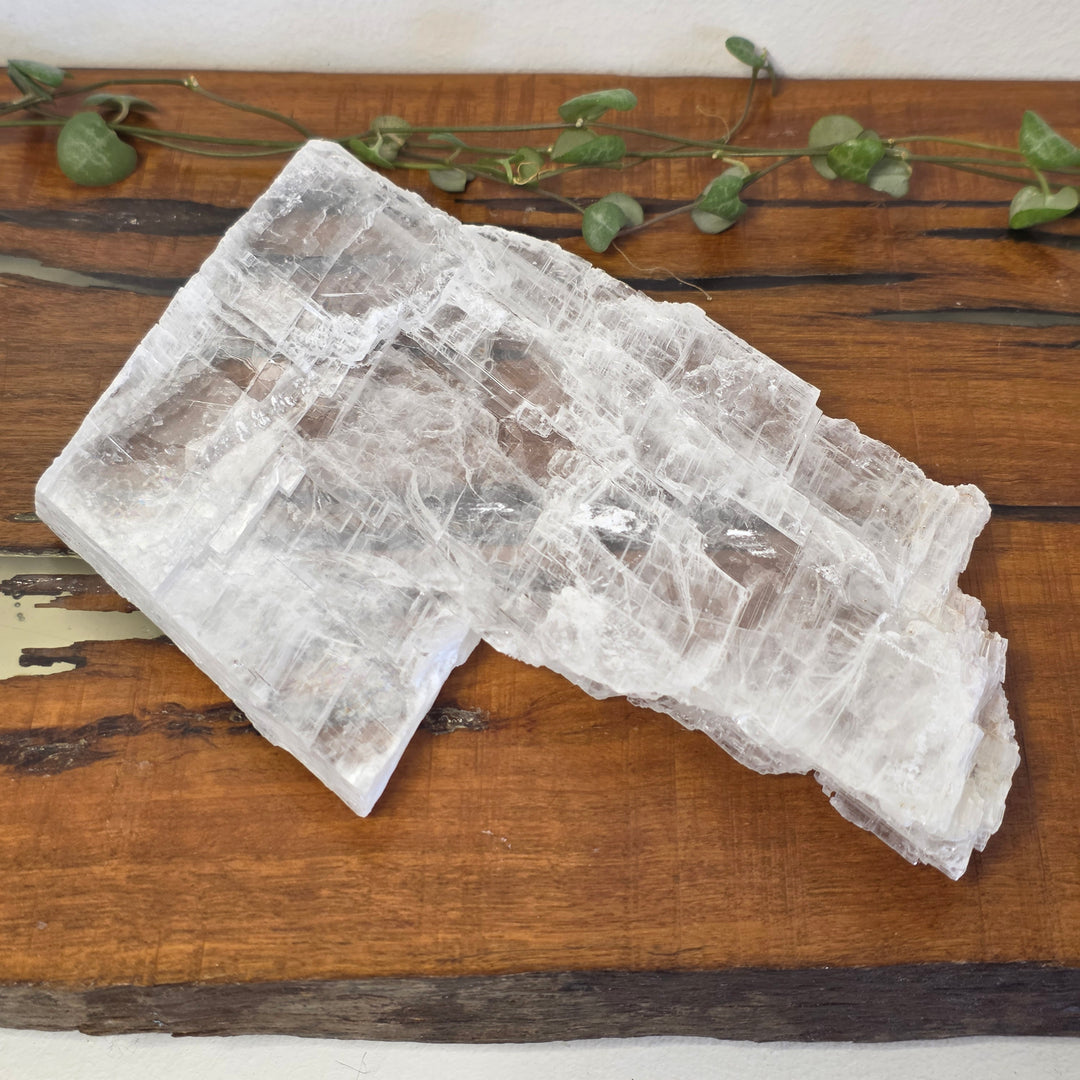 Selenite - Plate
