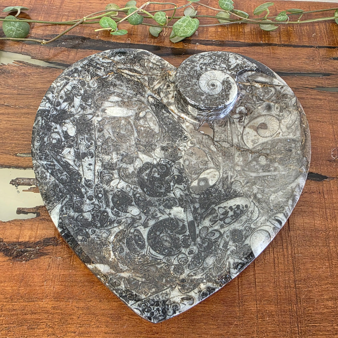 Shell Stone - Heart Plate