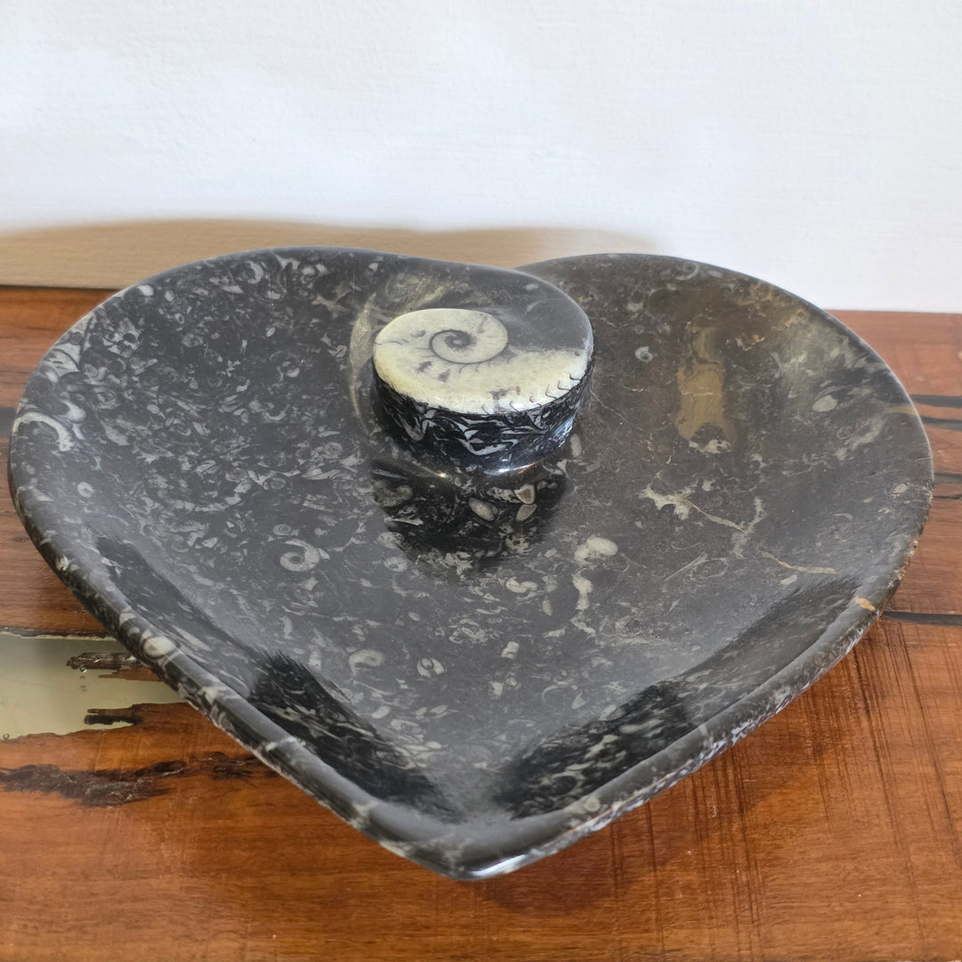 Gonistites Heart Bowl - Mel'z Place