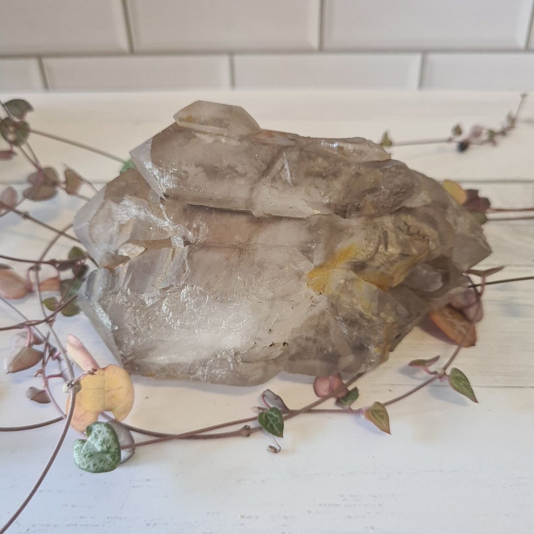 Smoky Quartz - Enhydro Cluster