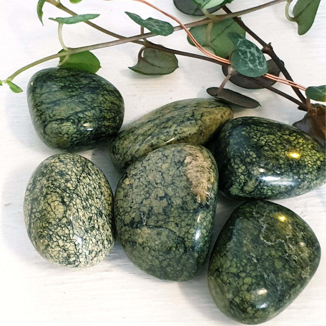 Jasper Snakeskin  Green - Tumbled - Mel'z Place