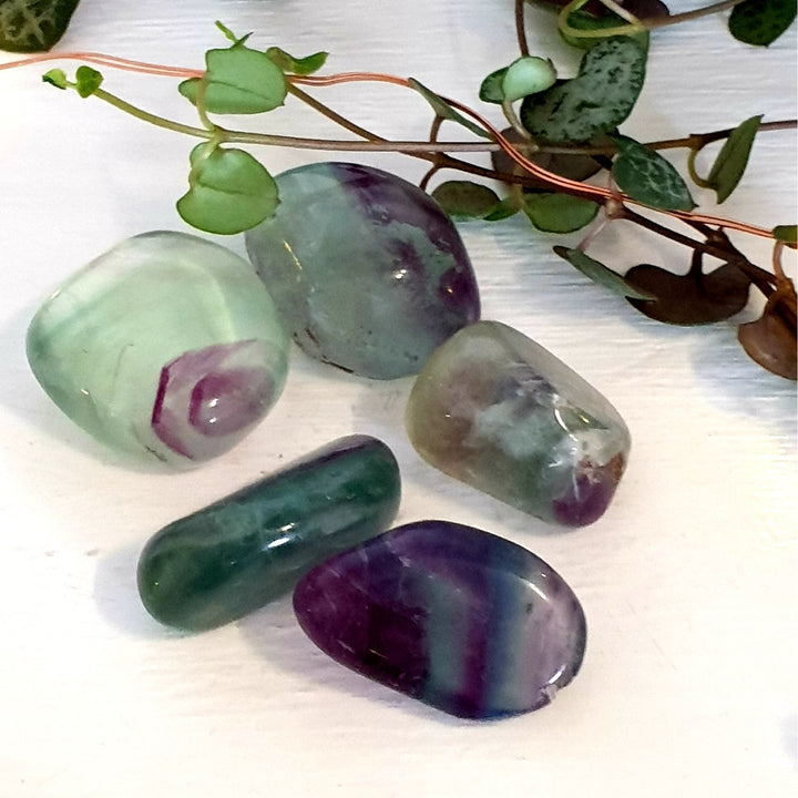 Fluorite - Tumbled - Mel'z Place