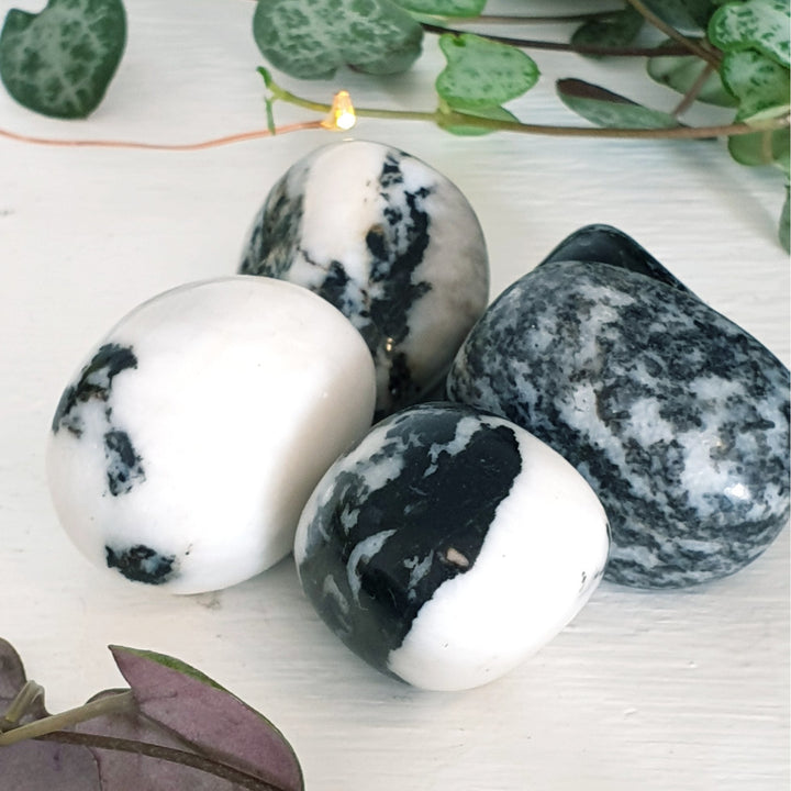 Black & White Zebra Jasper - Tumbled