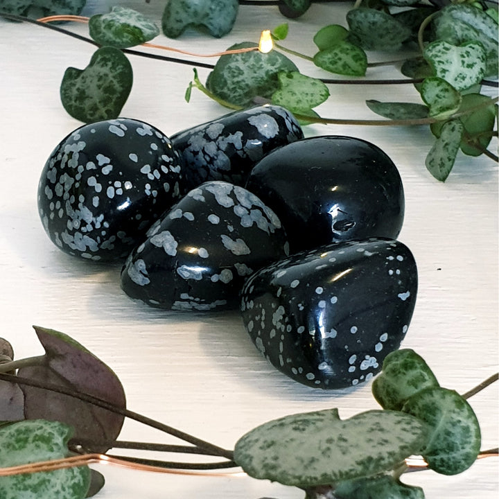 Snowflake Obsidian - Tumbled