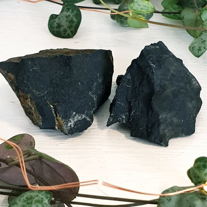 Shungite - Raw - Mel'z Place