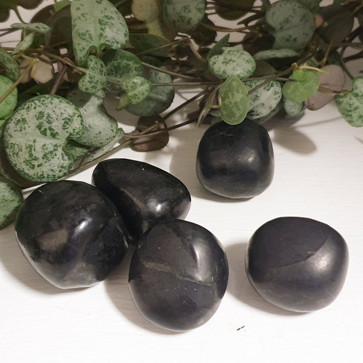 Shungite - Tumbled