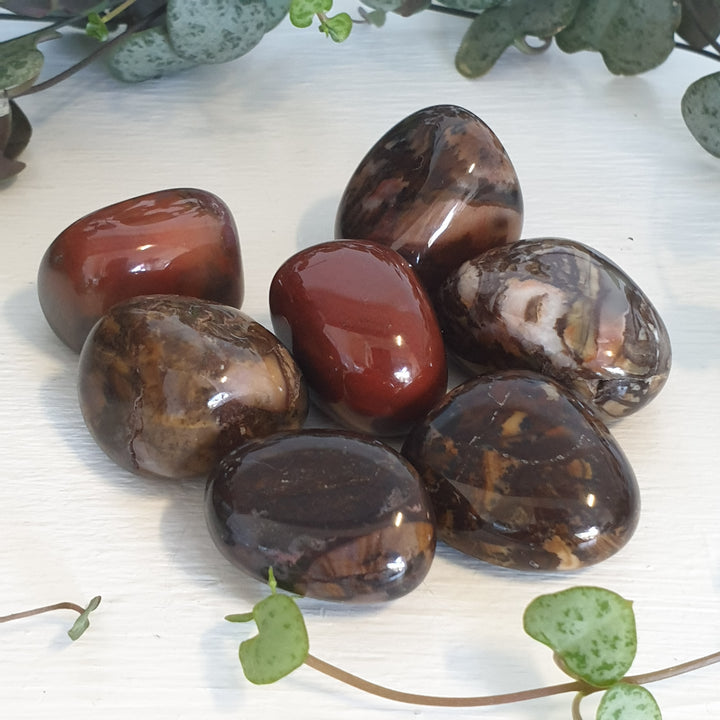 Bamboo Leaf Agate - Tumbled