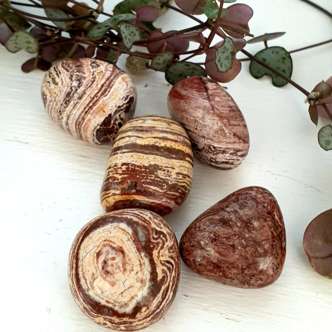 White Stripe Jasper - Tumbled - Mel'z Place