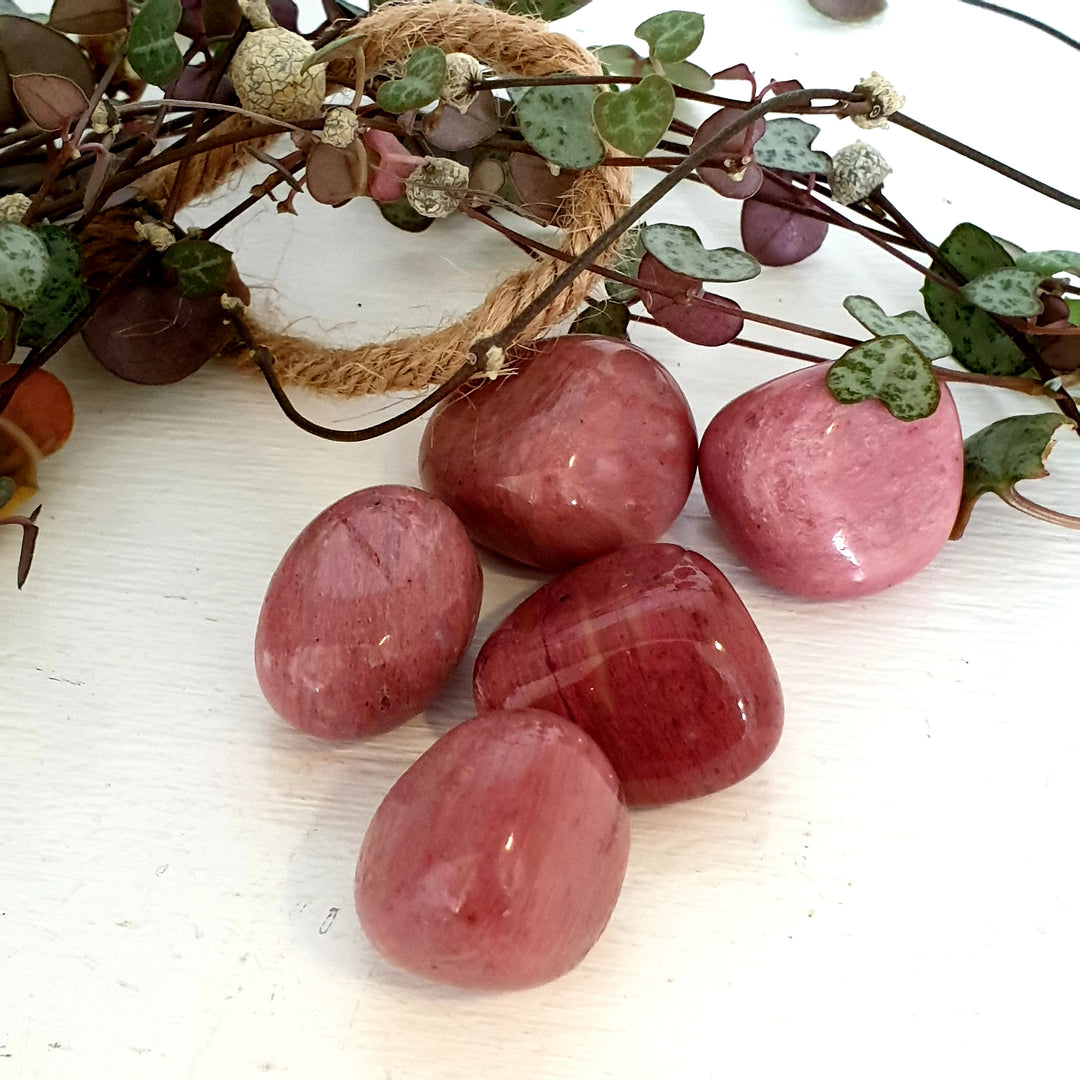 Pink Petrified Wood - Tumbled