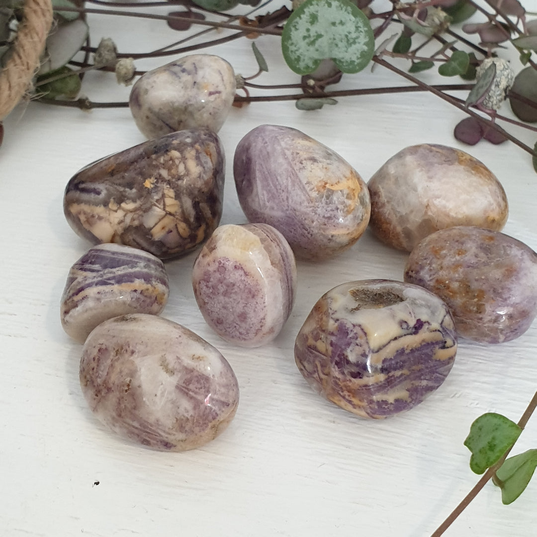 Purple Jasper - Tumbled - Mel'z Place