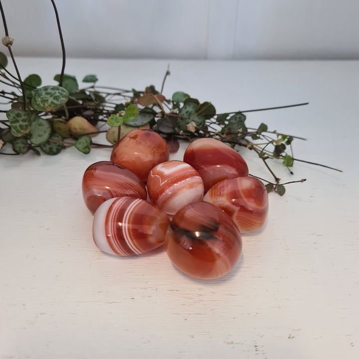 Banded Carnelian - Tumbled