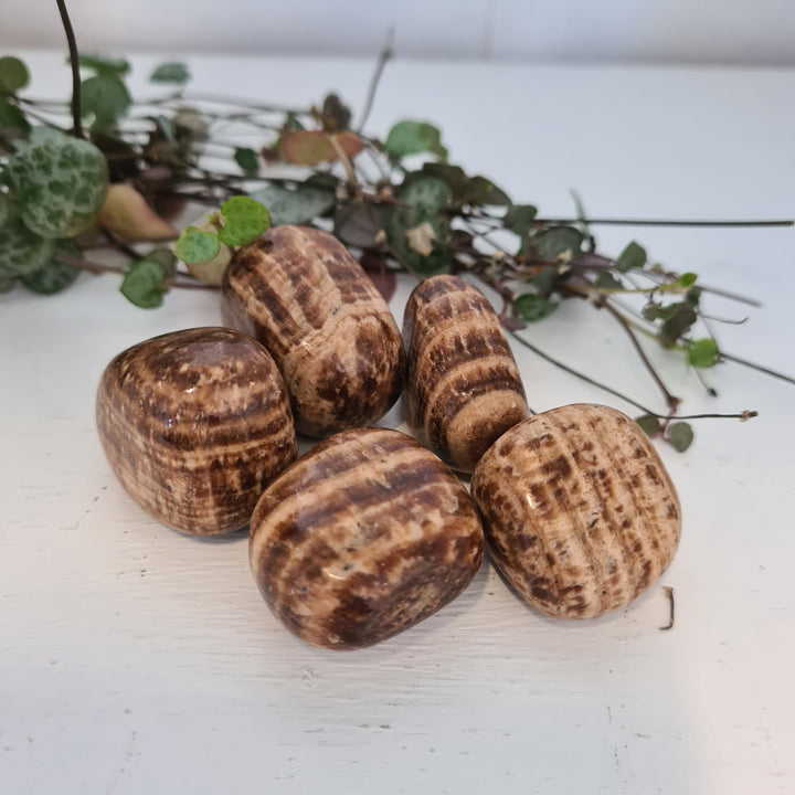 Brown Aragonite - Tumbled