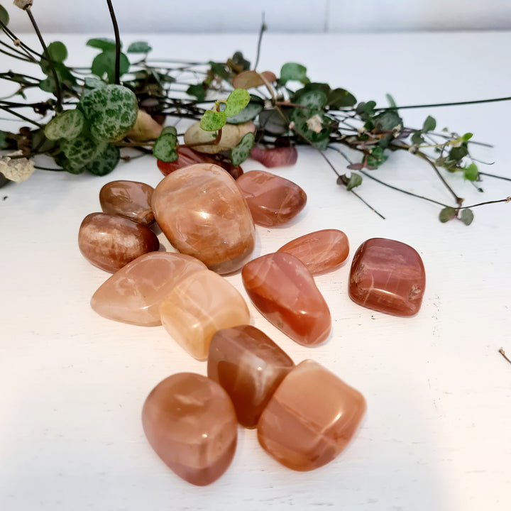 Peach Moonstone - Tumbled