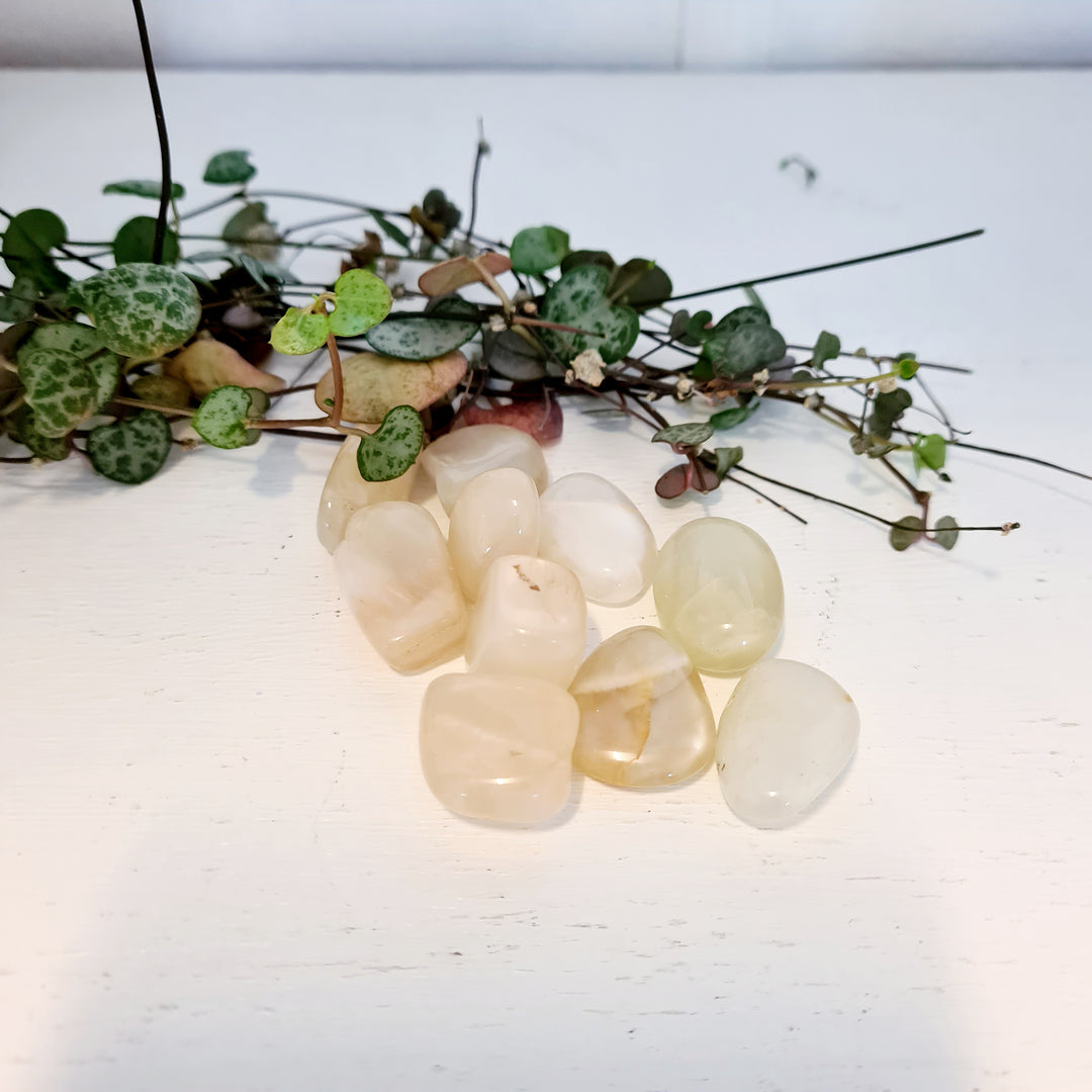 Cream Moonstone - Tumbled