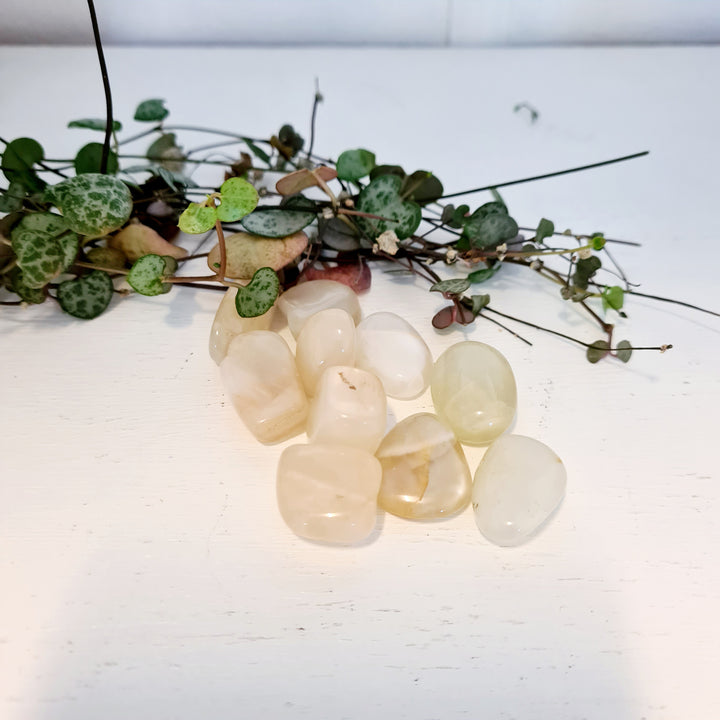 Cream Moonstone - Tumbled