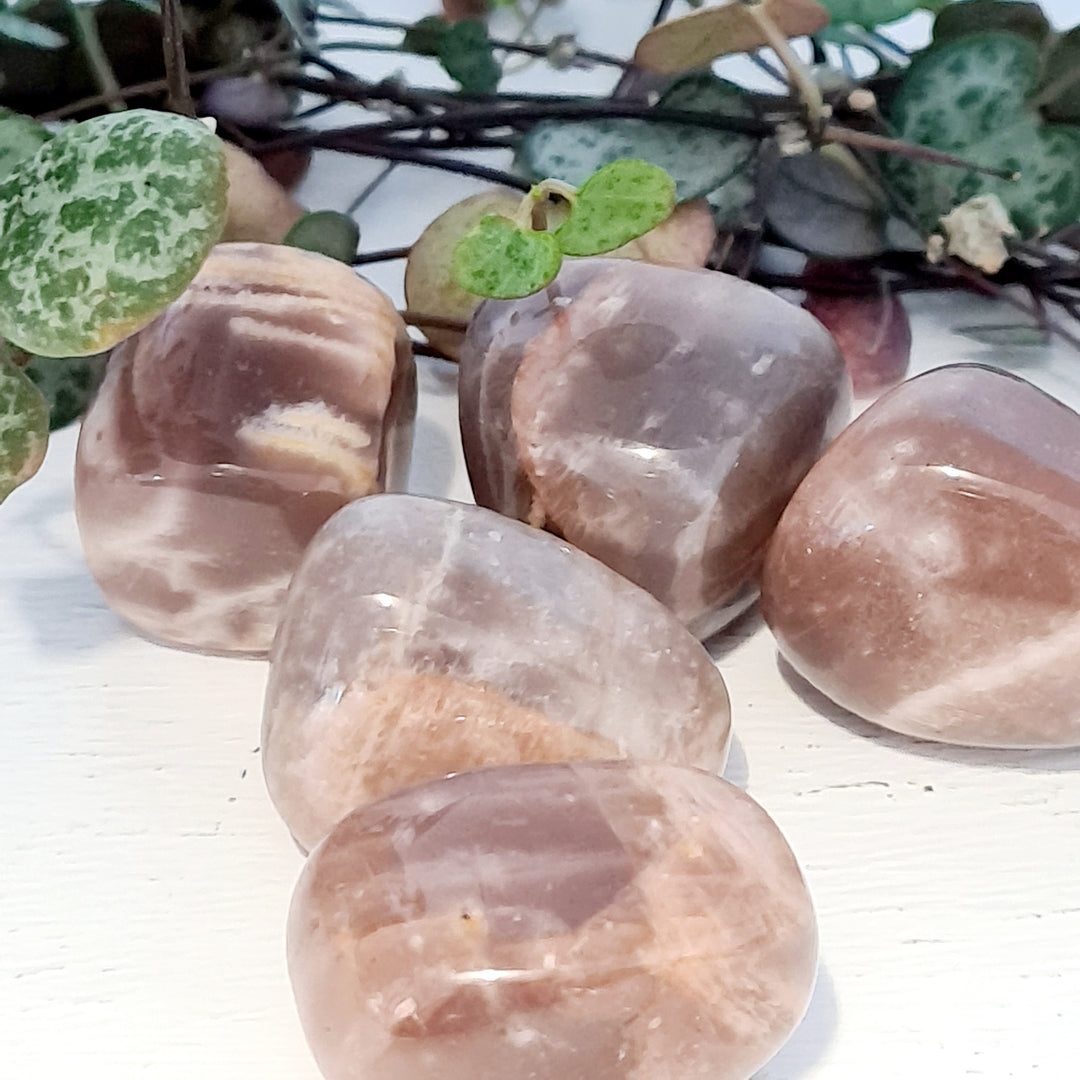 Green Moonstone - Tumbled - Mel'z Place