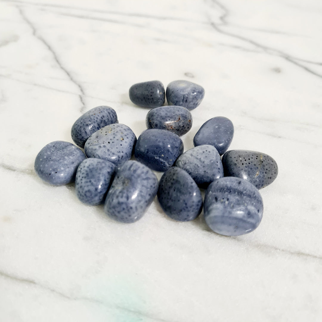 Blue Coral - Tumbled