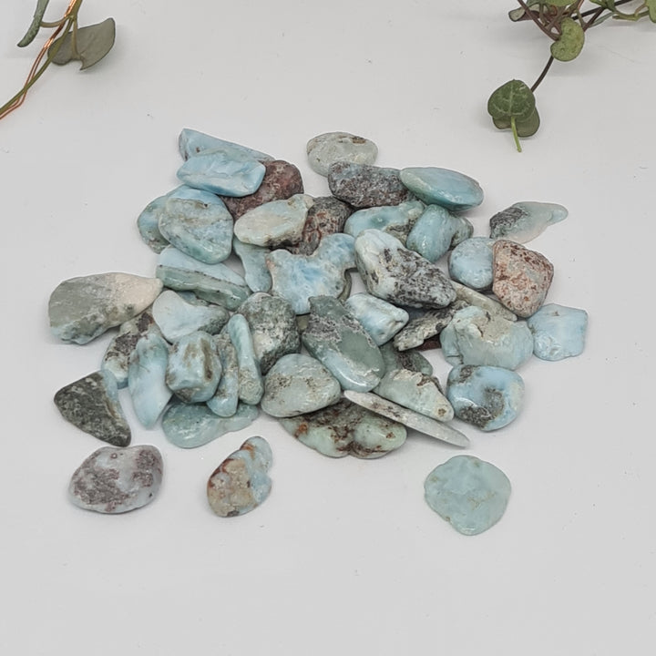 Larimar - Chips