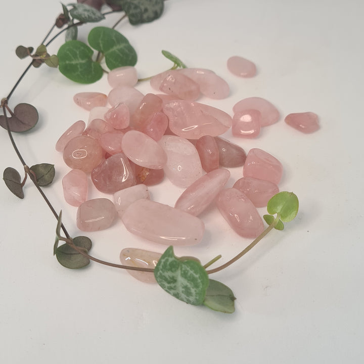 Rose Quartz - Chips