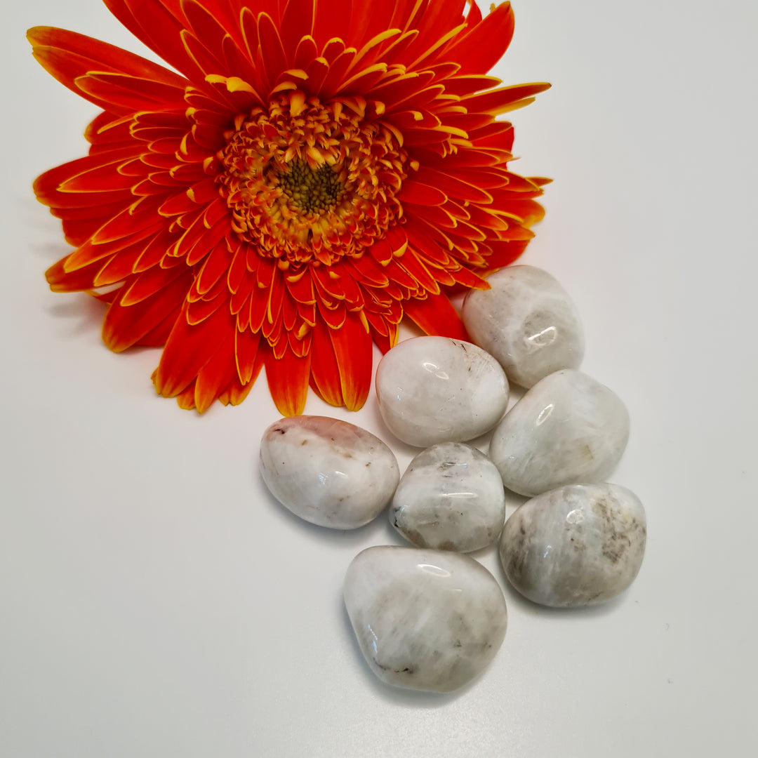 White Moonstone - Tumbled