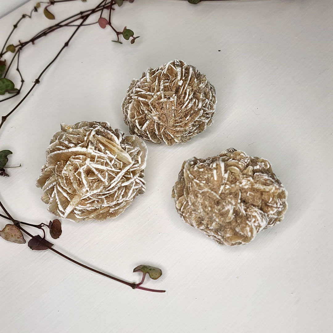 Desert Rose Selenite - Natural Large - Mel'z Place