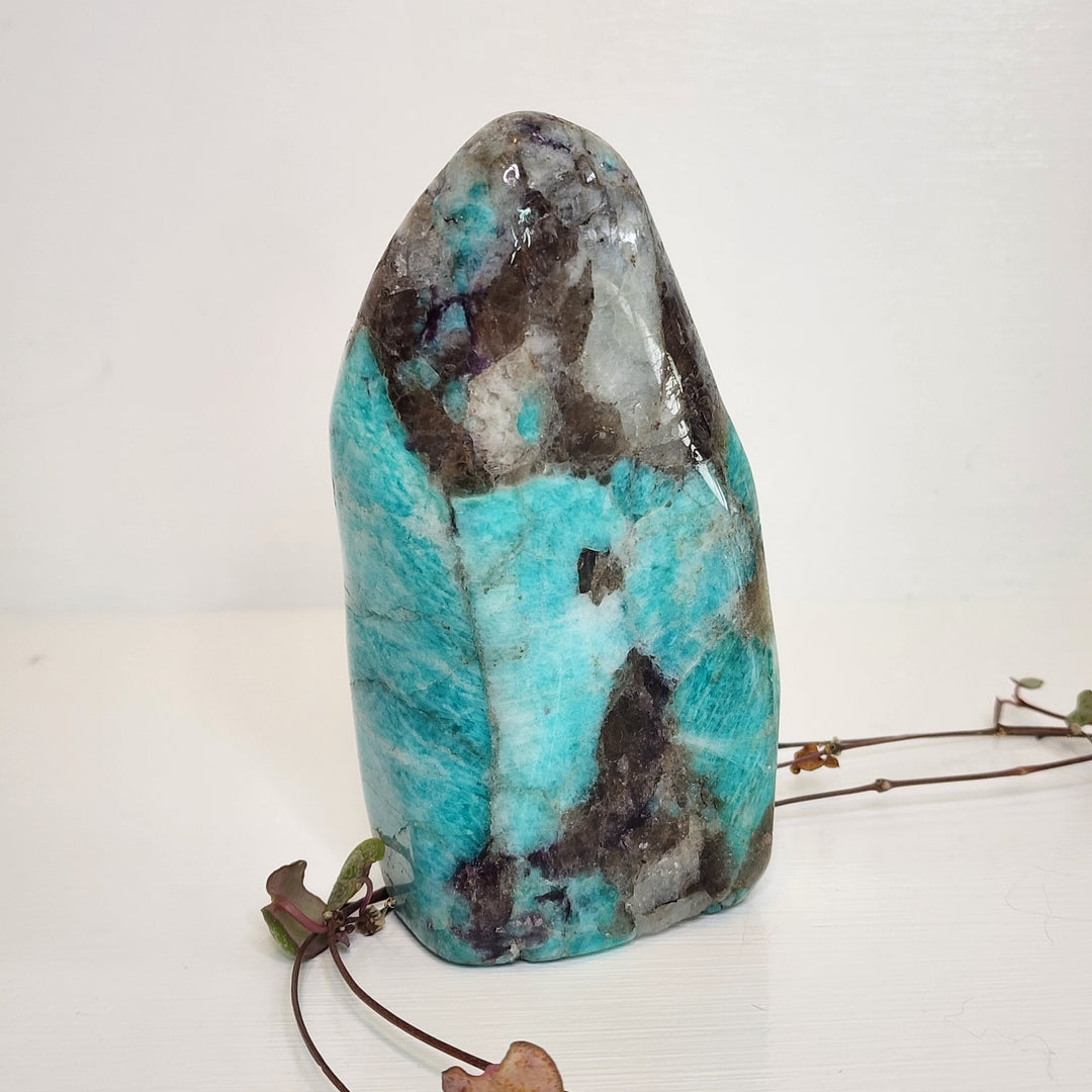 Amazonite - Freeform