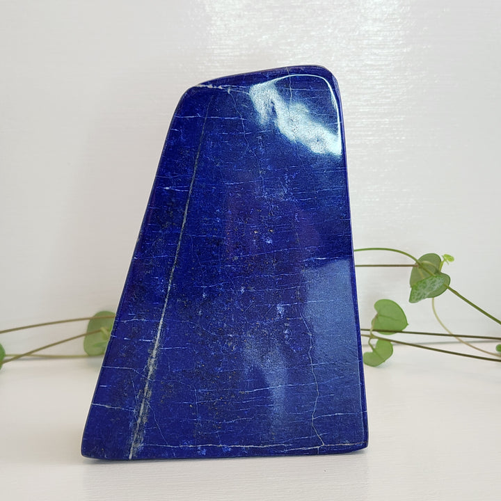 Lapis Lazuli - Free Form