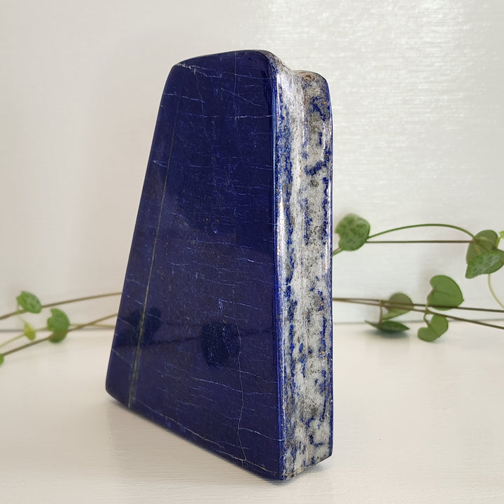 Lapis Lazuli - Free Form