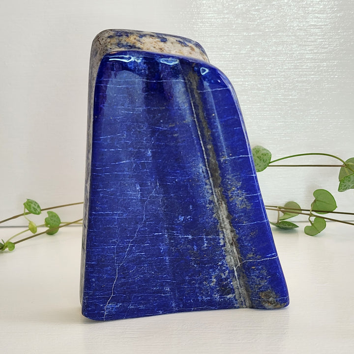 Lapis Lazuli - Free Form